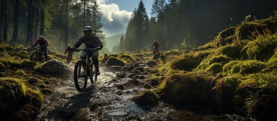 A group of mountain bikers, they cycle through mountain roads in the middle of the forest. - obrazy, fototapety, plakaty