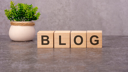 BLOG concept on wooden cubes and flower in a pot in the background