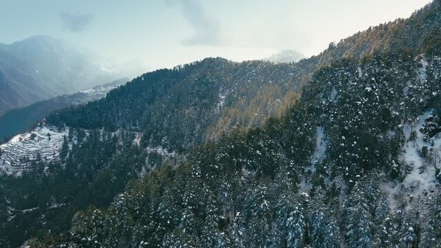 Aerial view of beautiful snow-covered mountains during winters in the Himalayan region of Uttarakhand. Trees and hills are covered in snow. Snowfall in Dhanaulti. Snowcapped forest valley in India. 4K