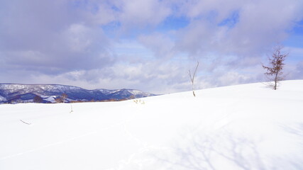 北海道雪景色