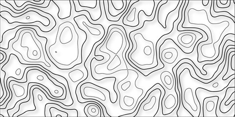 Gray wave paper curved reliefs abstract background, Abstract topographic contours mountain relief topographic map background. Business concept