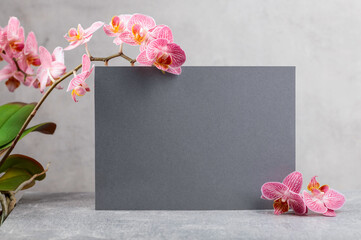 Blooming orchid flowers with a gray card for your text.