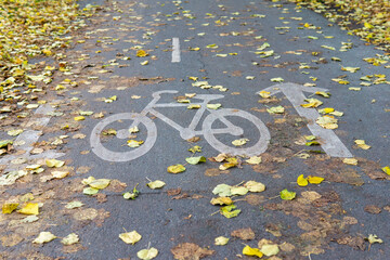 piste cyclable,voie vélo,vélo,glissante,glissant,automne,feuilles...