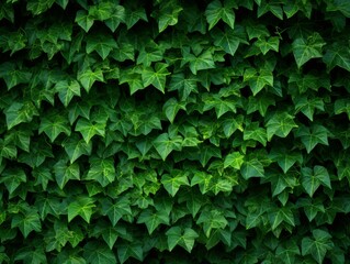 vibrant green leafy wall up close
