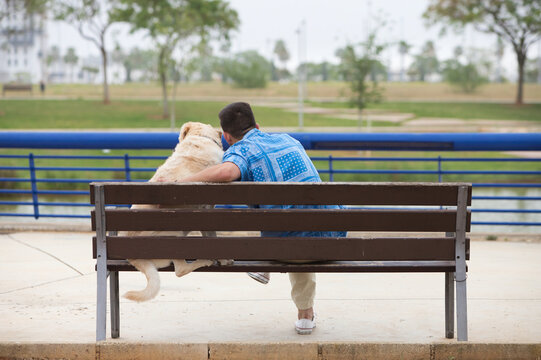 Handsome young man and his Labrador retriever dog sitting on a wooden bench in the park. The man and his pet have their heads together. The picture is taken from behind. Concept pets and animals.