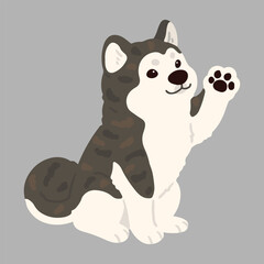 Simple and adorable flat dark colored Akita Dog sitting and waving