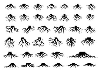 Tree Roots Big Collection. Set of Black Tree Roots Silhouettes Vector Isolated Illustration. Forest Plant Roots