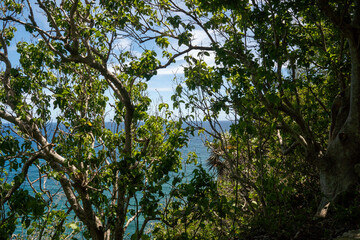 Fototapeta premium Guajataca. Quebradillas, Puerto Rico