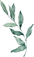 Watercolor Illustration Element Elegant Leaves