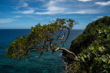 Fototapeta premium Guajataca. Quebradillas, Puerto Rico