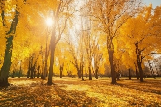 Stunning fall scene, sunny with yellow trees and colorful foliage in the park. Falling leaves create a natural background. Generative AI