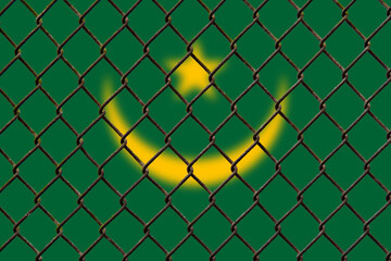 Fototapeta premium A steel mesh against the background of the flag Mauritania.