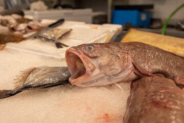 Fresh catch at the market: succulent, ocean-fresh fish, waiting to tantalize your taste buds. Dive...