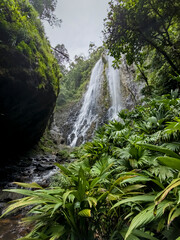 Montañas de Panamá, recurso hídrico, fauna y flora importante 