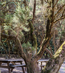 Views around La Gomera Island, The Caneries