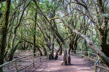 Views around La Gomera Island, The Caneries