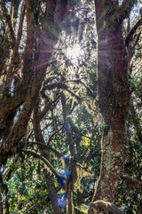 Views around La Gomera Island, The Caneries