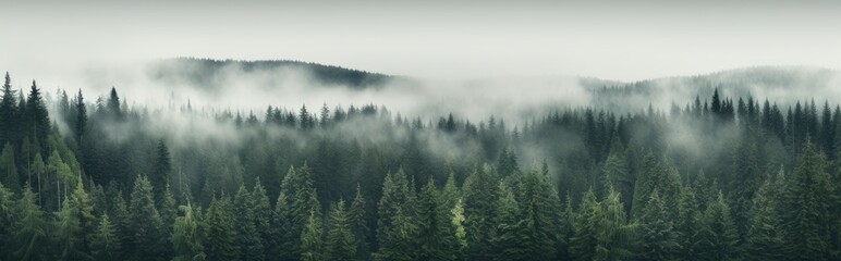 Mountain, forest background with fog around trees, dark green panorama. Walpaper background. gernerative ai, panorama