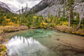 Fall colors and foliage on the shore of the turquoise Joffre Lakes in the Mountains of British Columbia, Canada.