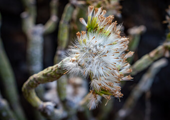 Views around El Hierro Island, Canary Islands