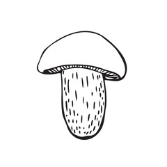 mushroom sketch, silhouette. Drawing of poison. Vector illustration