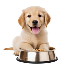 Puppy with food bowl isolated on transparent background - obrazy, fototapety, plakaty