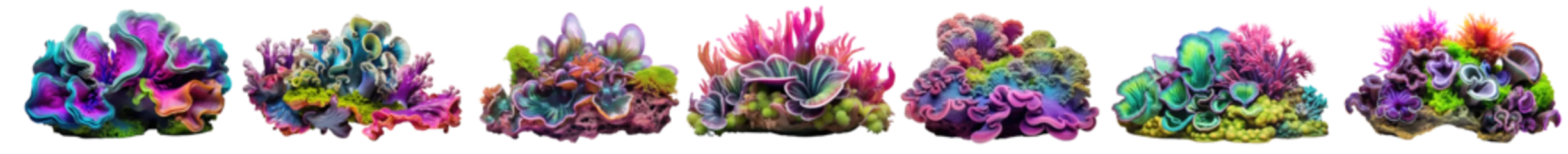  Collection of colorful deep ocean coral reefs and algae mosses, isolated on a transparent background. (PNG, cutout, or clipping path.) © Transparent png