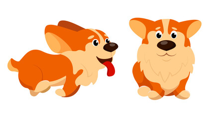 Set of beautiful corgi dogs in cartoon style. Vector illustration of cute fluffy corgi dog characters with different emotions and poses: running with tongue out, sitting isolated on white background.