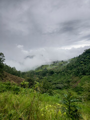 Fototapeta na wymiar Montañas de Panamá, recurso hídrico, fauna y flora importante 