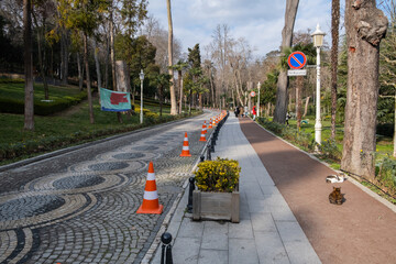 Nice paths and stepways in Yıldız Park in Istanbul, Turkey