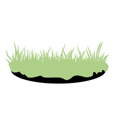 different shapes of grass vector