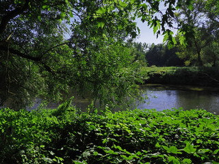 Grün und kleiner Fluss