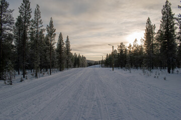 Fototapeta premium Magical winter landscape. Snow covered trees. Helsinki. Finland