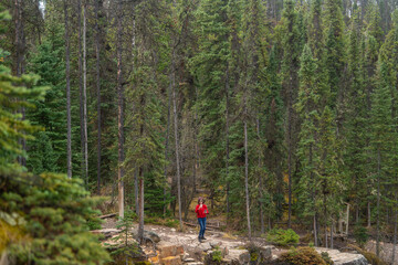 Young Asian woman in red winter coat standing in pine forest, Banff National Park, Rocky Mountains, Canada