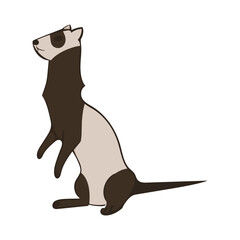 Image of alert ferret on white background. Cute vector illustration. Design element. Simple image of ferret for design of childrens clothing products brochures posters banners menus stationery.