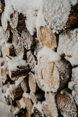 Winterlicher Schneespaziergang im Schwarzwald am Mummelsee