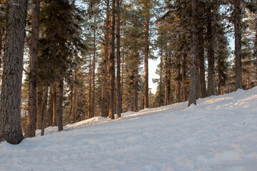 Winter landscape of the town of Jukkasjarvi, Sweden. Situated in the north of Sweden in Kiruna municipality.