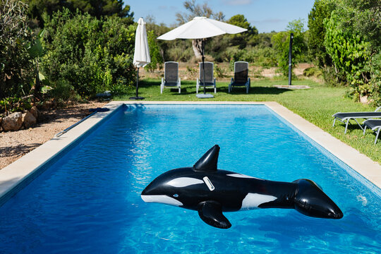 Inflatable orca in a serene pool setting with loungers.