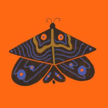 Traditional Neo Primitive Drawing Of Butterfly