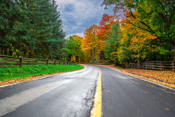 road in autumn forest - 670168471