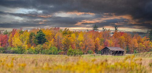 autumn landscape with a house - 670168625