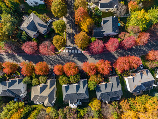 An aerial view of a suburban neighborhood during autumn