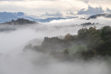 Foggy morning in Asturias, Spain