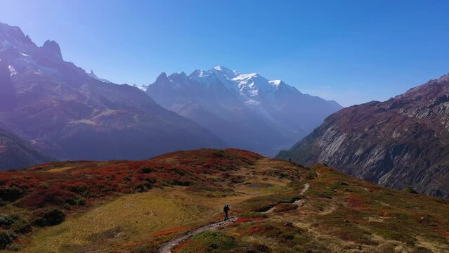 Hiker Man in Blue Jacket with Backpack Walking on Trail in the Mountains on Sunny Autumn Day. Mont Blanc Mountain. Red Bushes. French Alps, France. Aerial View. Drone Flies Forward, Follows Man
