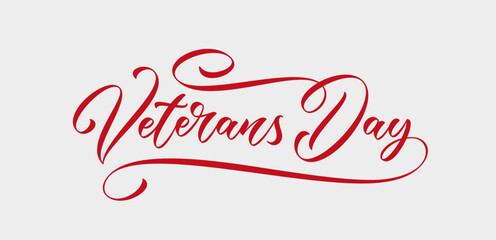 Veterans Day text. Hand lettering quote for banner, poster or card. USA Veterans Day hand drawn calligraphy.