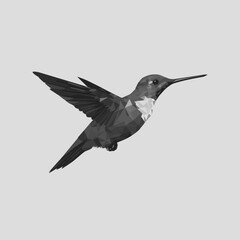 Fototapeta premium Hummingbird