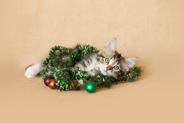 Brown Tabby Kitten playing with Christmas tree tinsel holiday decorations, tangled up in it, brown...