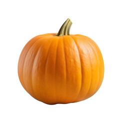 Obraz premium Pumpkin vegetable isolated on white background