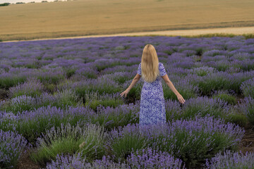 girl stands in a lavender field