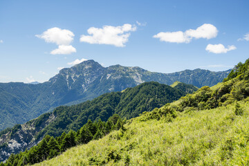 Naklejka premium Hiking trail in Hehuanshan mountain in Taiwan